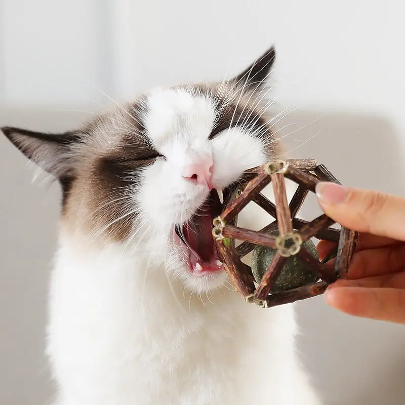 Accessoire Ludique pour Chat Avec Herbe à Chat Naturelle
