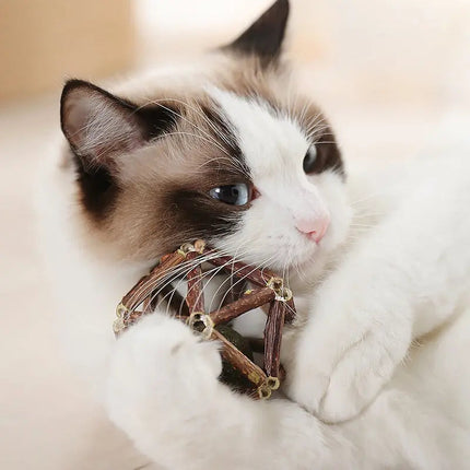 Accessoire Ludique pour Chat Avec Herbe à Chat Naturelle