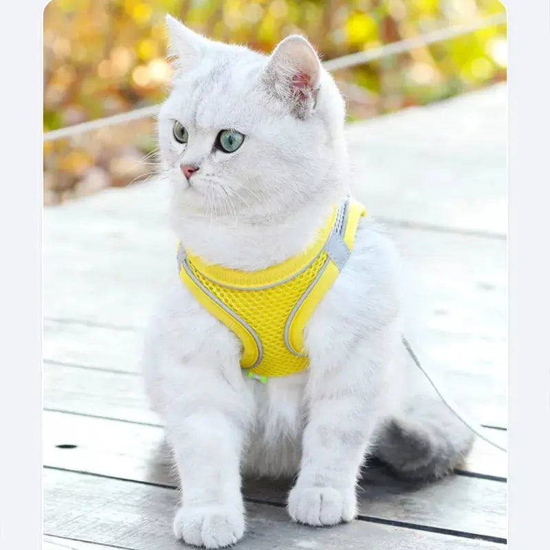 Harnais Respirant pour Chat - Design Confortable et Sécurisé