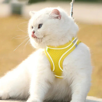 Harnais Respirant pour Chat - Design Confortable et Sécurisé