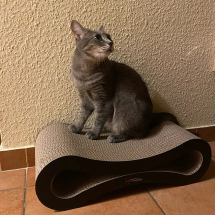 Griffoir Moderne en Boucle pour Chat – Design Minimaliste