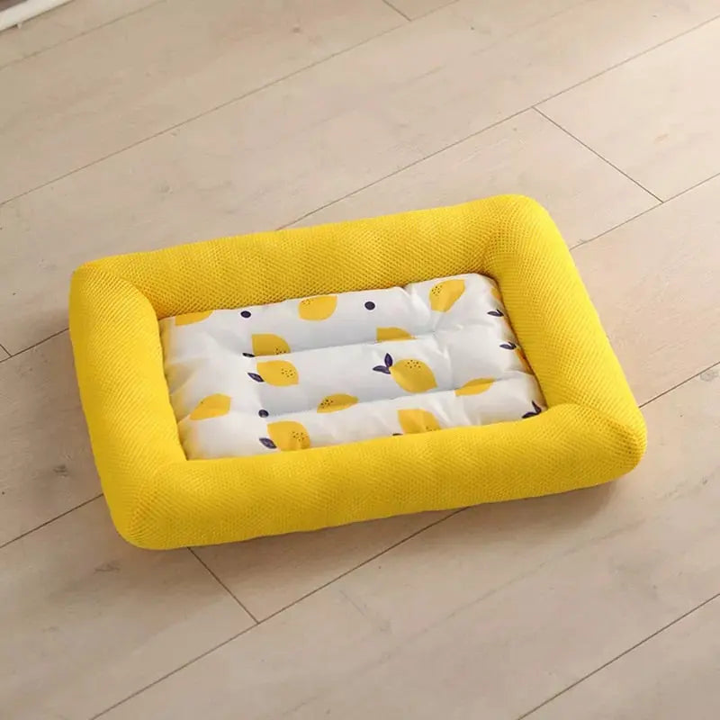 Coussin Douillet Bleu pour Siestes de Chat