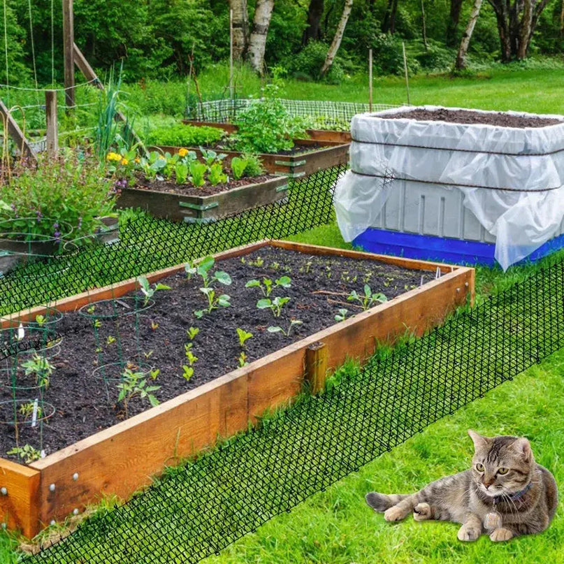 Petit Jardin Potager avec Clôture en Filet et Bac à Compost