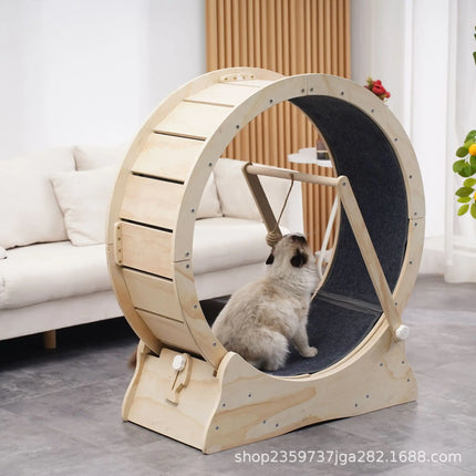 Roue d’Exercice pour Chat avec Tapis Antidérapant et Jouet Suspendu