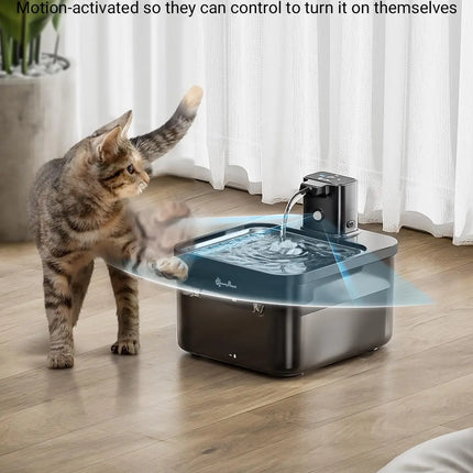 Fontaine Carrée Innovante avec Réservoir Transparent - 400 mAh