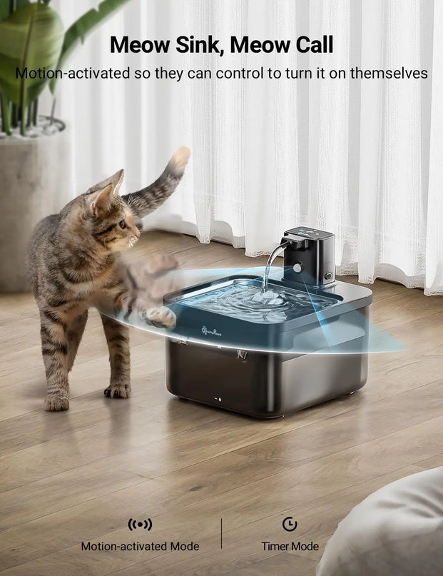 Fontaine Carrée Innovante avec Réservoir Transparent - 400 mAh