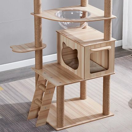 Arbre à chat design avec plateformes, niches acryliques et poteaux à griffer