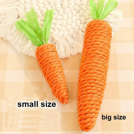 Carottes Ludiques en Corde pour Chat – Jouet Mignon et Interactif