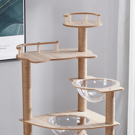 Arbre à chat design avec plateformes, niches acryliques et poteaux à griffer