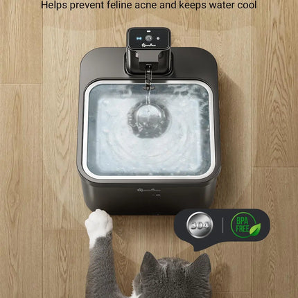 Fontaine Carrée Innovante avec Réservoir Transparent - 400 mAh