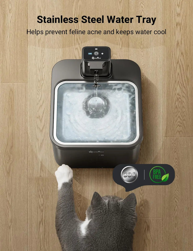 Fontaine Carrée Innovante avec Réservoir Transparent - 400 mAh