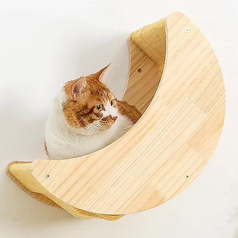 Niche murale suspendue pour chat – Design moderne et pratique
