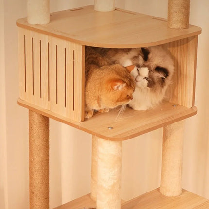 Arbre à Chat Ludique XXL avec Bulles Transparentes et Maisonnete