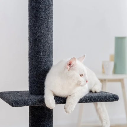 Arbre à Chat Vertical avec Plateformes Multiples
