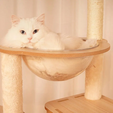 Arbre à Chat Ludique XXL avec Bulles Transparentes et Maisonnete