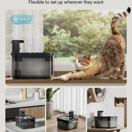 Fontaine Carrée Innovante avec Réservoir Transparent - 400 mAh