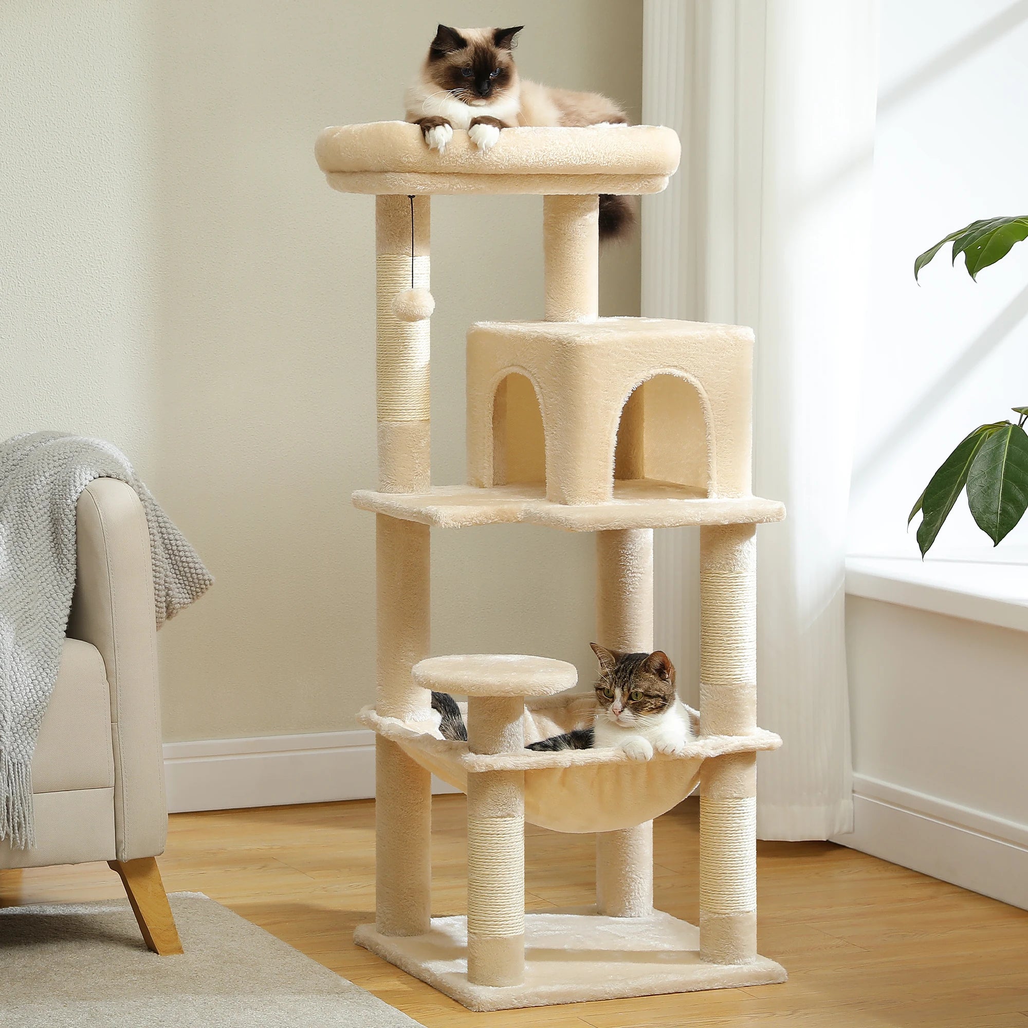 Petit Arbre à Chat Douceur Royale