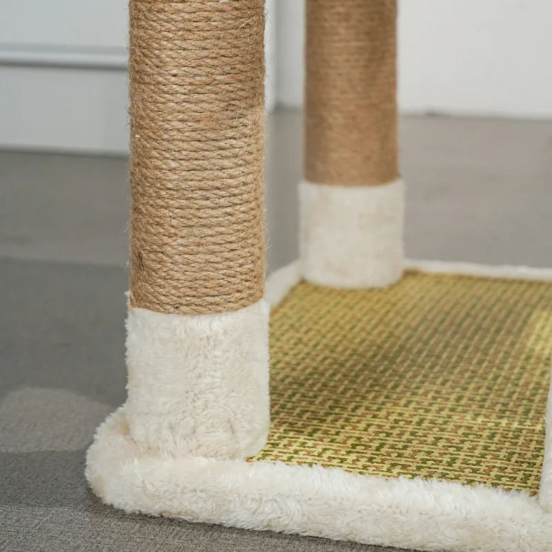 Arbre à Chat Compact avec Plateformes et Échelle