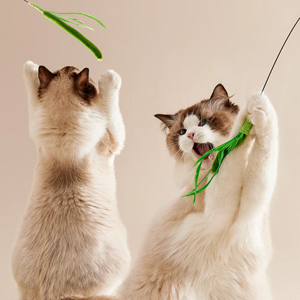 Ensemble de Jouets Interactifs Pivotants pour Chats