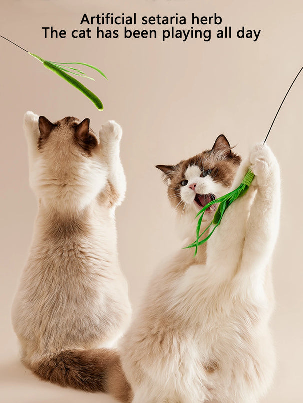 Ensemble de Jouets Interactifs Pivotants pour Chats