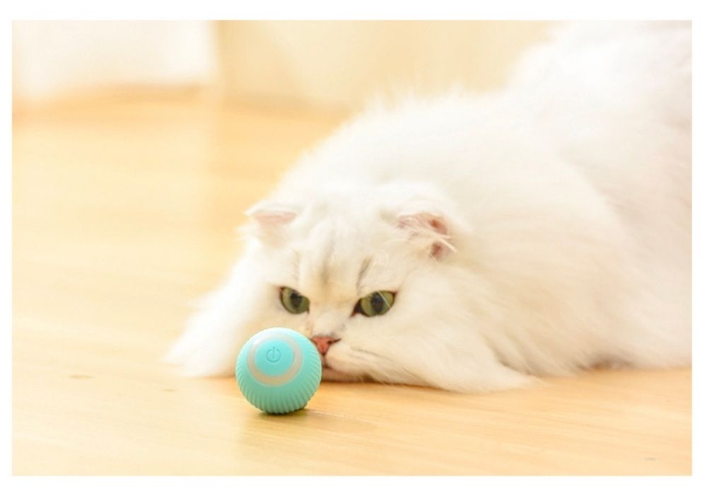 Balle Interactive LED Turquoise pour Animaux Actifs