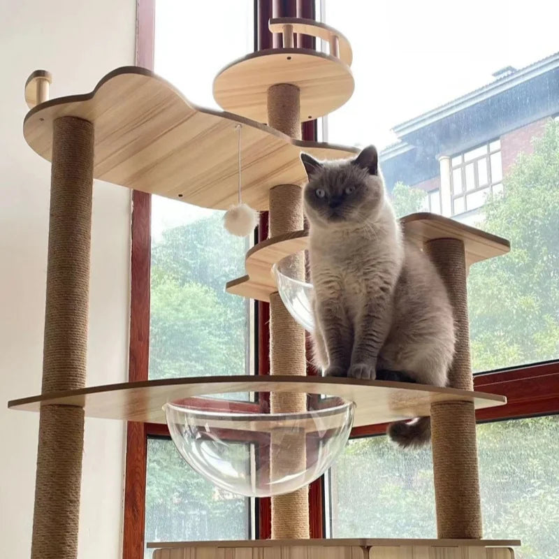 Arbre à chat design avec plateformes, niches acryliques et poteaux à griffer