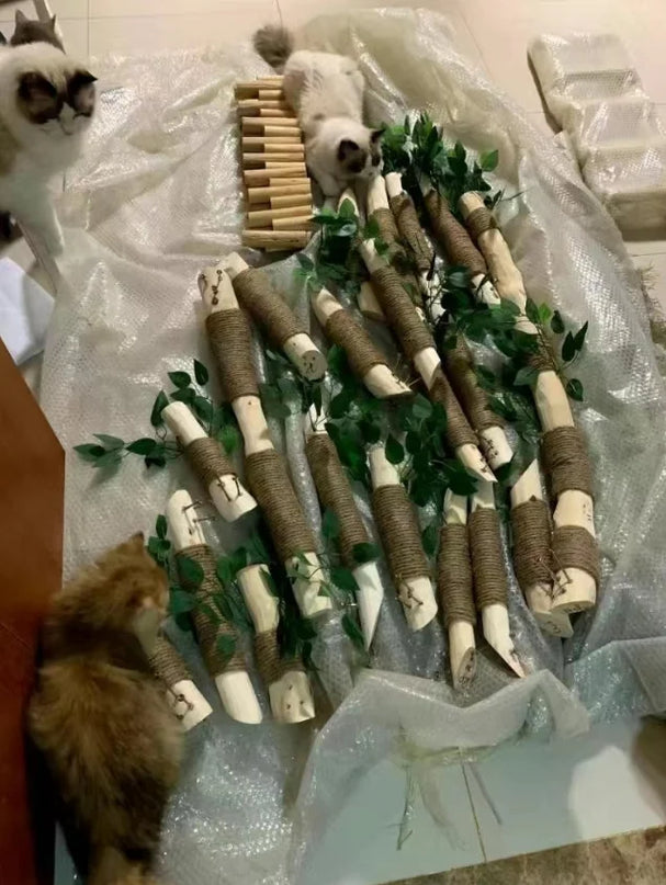Arbre à Chat Rustique avec Maison Perchée et Détails Végétaux