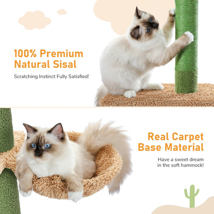 Arbre à Chat Cactus Original avec Plates-Formes Multi-Niveaux