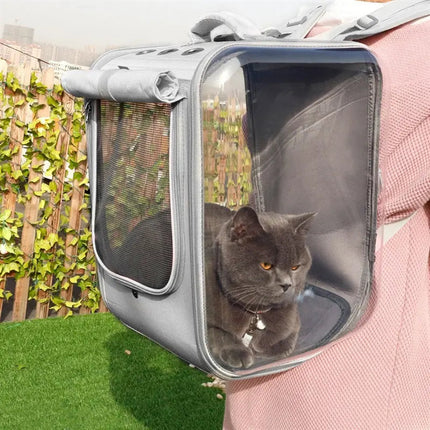 Transporteur rectangulaire pratique à parois rigides pour animaux