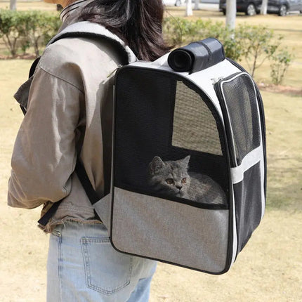 Transporteur Rectangulaire Moderne pour Chat avec Aération Optimale