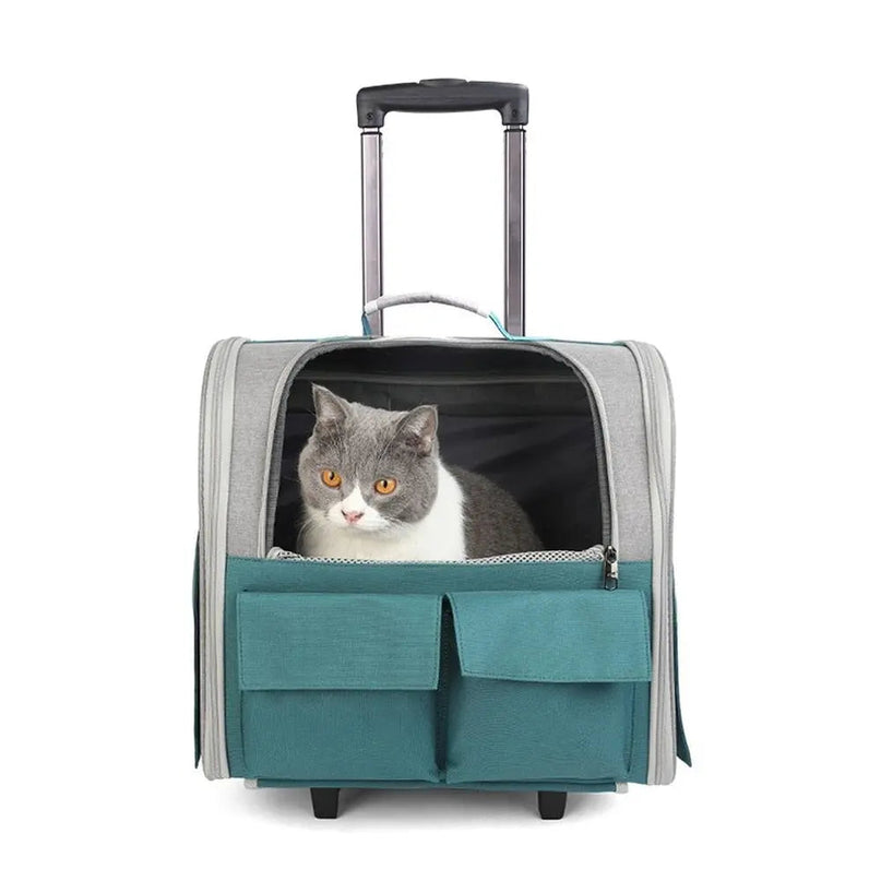 Sac de transport pliable pour chat avec poignée télescopique et compartiments pratiques