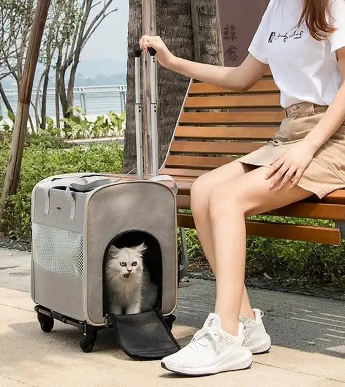 Sac Portable Télescopique à Roulettes pour Chat – Pratique et Ventilé