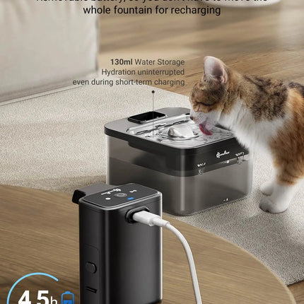 Fontaine Carrée Innovante avec Réservoir Transparent - 400 mAh