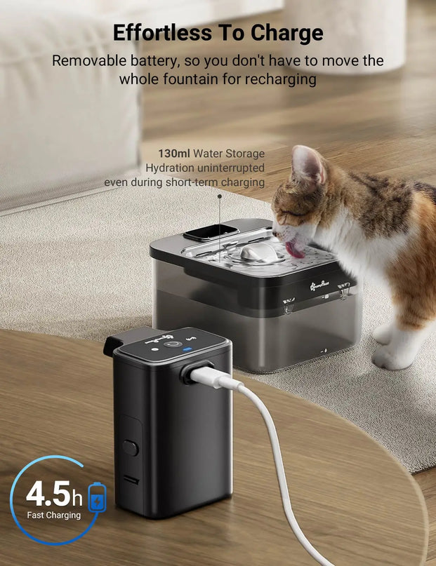 Fontaine Carrée Innovante avec Réservoir Transparent - 400 mAh