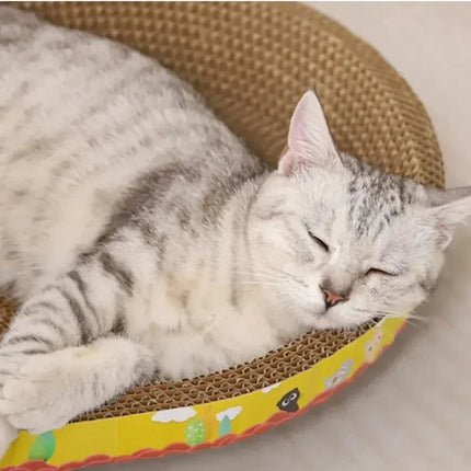 Panier Ovale en Carton Durable - Espace Spacieux pour Chats