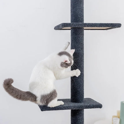 Arbre à Chat Vertical avec Plateformes Multiples