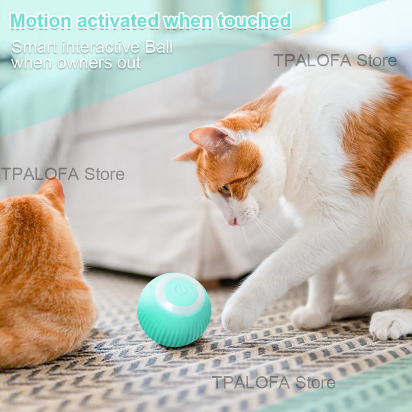 Balle Interactive LED Turquoise pour Animaux Actifs