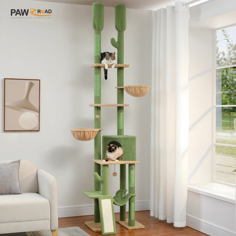 Arbre à Chat Cactus Vert avec Niche et Hamacs