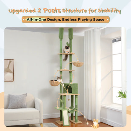 Arbre à Chat Cactus Vert avec Niche et Hamacs