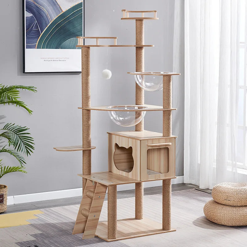 Arbre à chat design avec plateformes, niches acryliques et poteaux à griffer