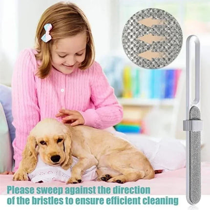 Brosse Anti-Poils Multifonction pour Surfaces Domestiques