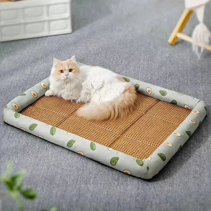 Tapis Décontracté pour Chat avec Bord Avocat et Surface Naturelle