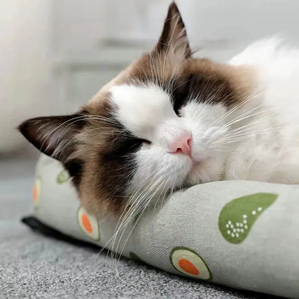 Tapis Décontracté pour Chat avec Bord Avocat et Surface Naturelle