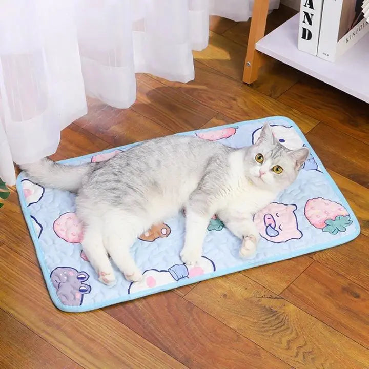 Tapis Ludique pour Chat avec Motifs Colorés - Ambiance Tendresse