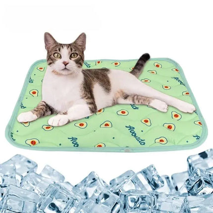 Tapis rafraîchissant chat motif avocat – Fraîcheur et bien-être