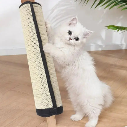 Surface ludique minimaliste pour chats avec jouet suspendu