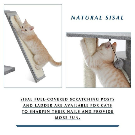 Arbre pour chats multi-niveaux avec jouets suspendus