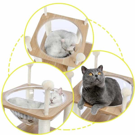 Tour de jeu et d'observation pour chat avec niveaux interactifs