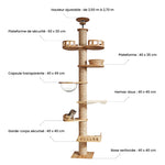 Charger l&#39;image dans la galerie, Arbre à chat en bois XXL de 6 niveaux avec hauteur ajustable de 2,50 m à 2,70 m. Équipé d&#39;une capsule transparente de 40 x 49 cm, d’un hamac doux 40 x 45 cm, de plateformes spacieuses 40 x 35 cm, d’un garde-corps sécurisé 40 x 40 cm, et d&#39;une base renforcée 40 x 40 cm pour une stabilité optimale. Design moderne et robuste, idéal pour chats actifs cherchant confort, jeu et observation en hauteur.
