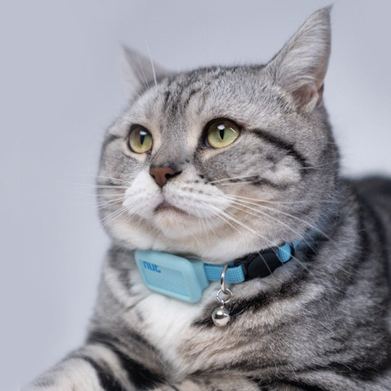 Collier ajustable bleu avec clochette et étiquette translucide